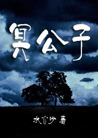 冥公子全部txt