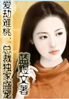 爱劫难桃总裁独家盛宠姜桃之