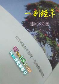 一别经年顾年