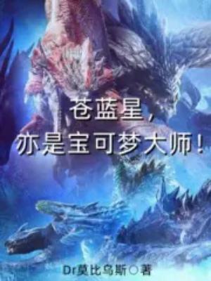 亦是宝可梦大师!作者Dr莫比乌斯