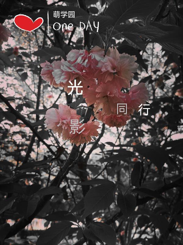 萌学园之光影之星