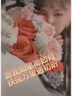 愿我如星君如月全诗