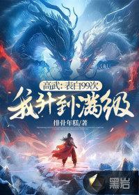 我升到满级林南