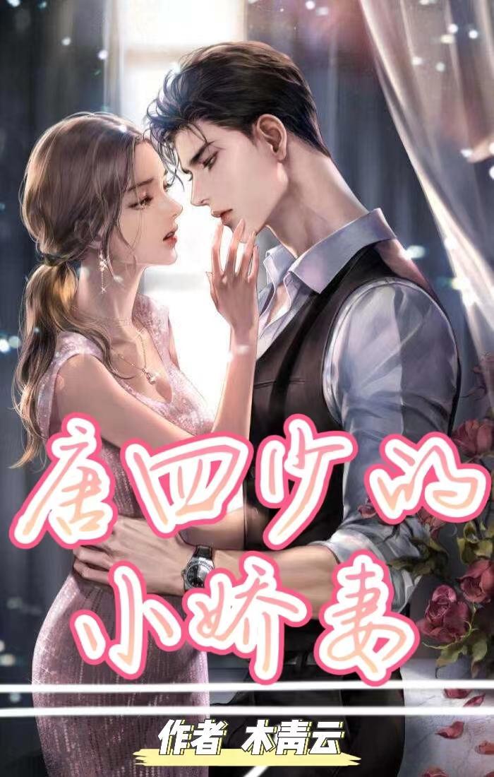 闪婚,老公太霸道