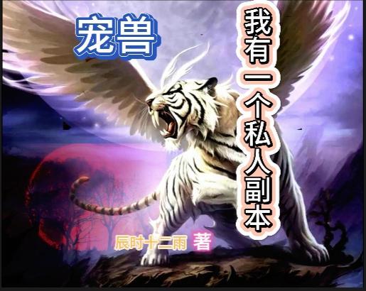 宠兽:我有一个私人副本