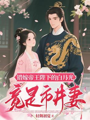 错嫁帝王陛下的白月光竟是市井妻