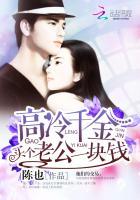 高冷千金:买个老公一块钱